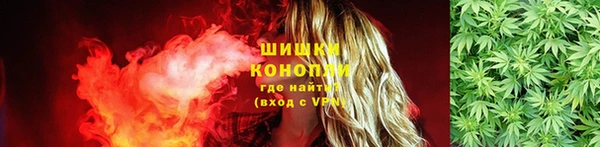 СК Покров