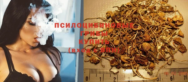 гашик Покачи