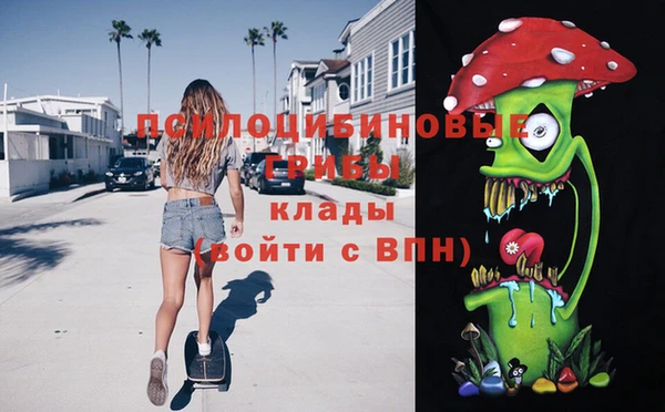 гашик Покачи