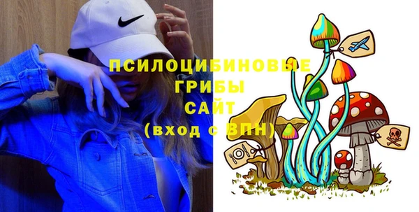 гашик Покачи