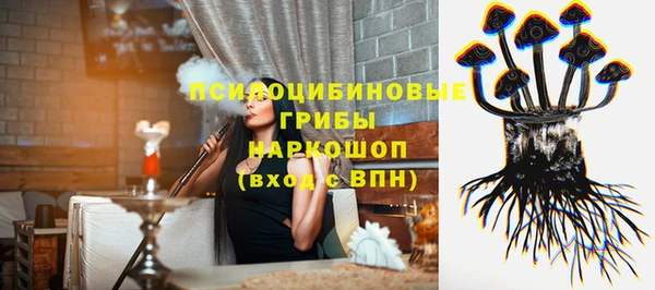 СК Покров